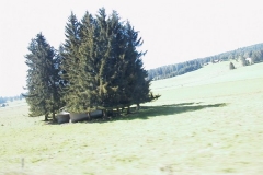 AUT_9462