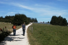 AUT_9470