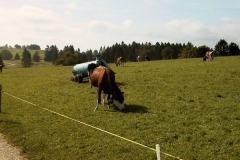 AUT_9485