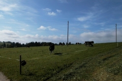 AUT_9486
