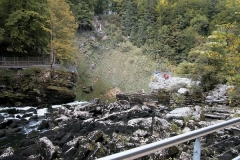 AUT_9526
