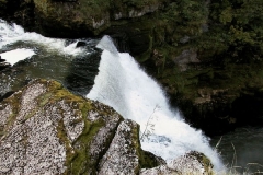AUT_9527