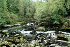 DSC01300