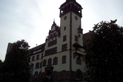 IMG_20121013_114424