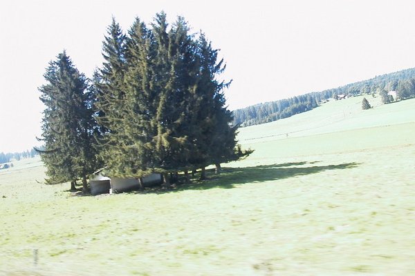 AUT_9462