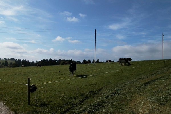 AUT_9486